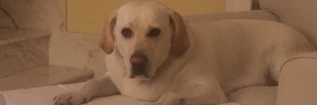 fergarfran's profile banner image