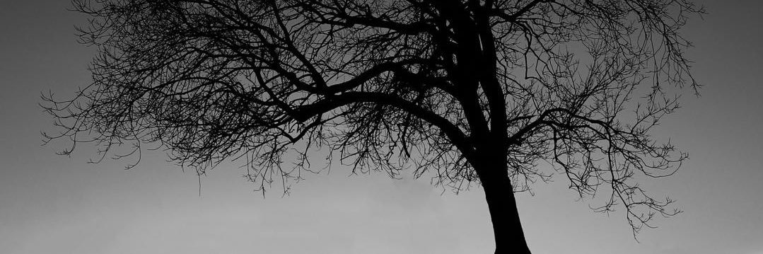 Moe_255's profile banner image