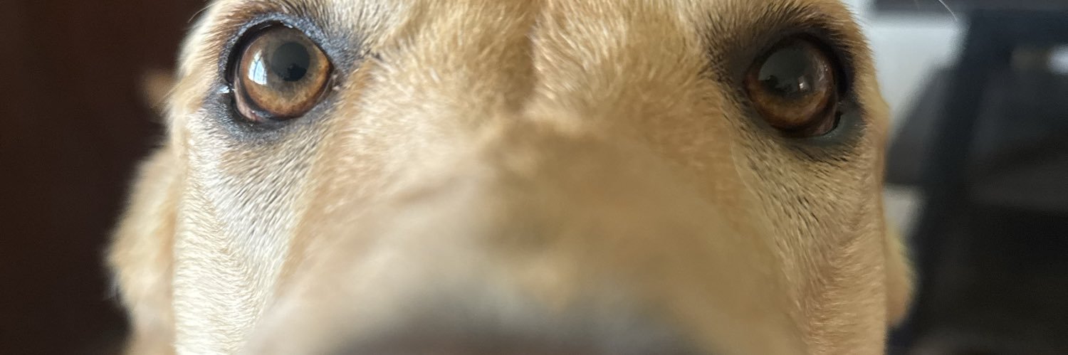 riley_mcgov's profile banner image