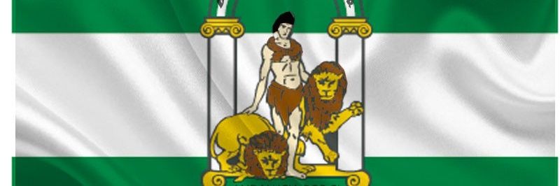 Alberto Gutiérrez​ banner