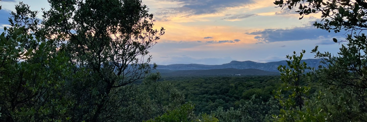 Françoise ROGET banner