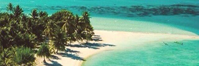 v_pinelo's profile banner image