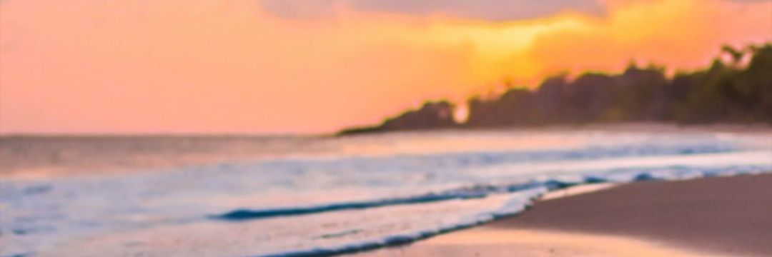 Meely_Shoue's profile banner image
