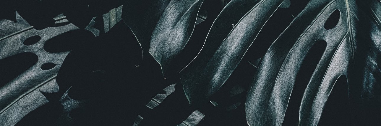 Dutch_Boy5's profile banner image