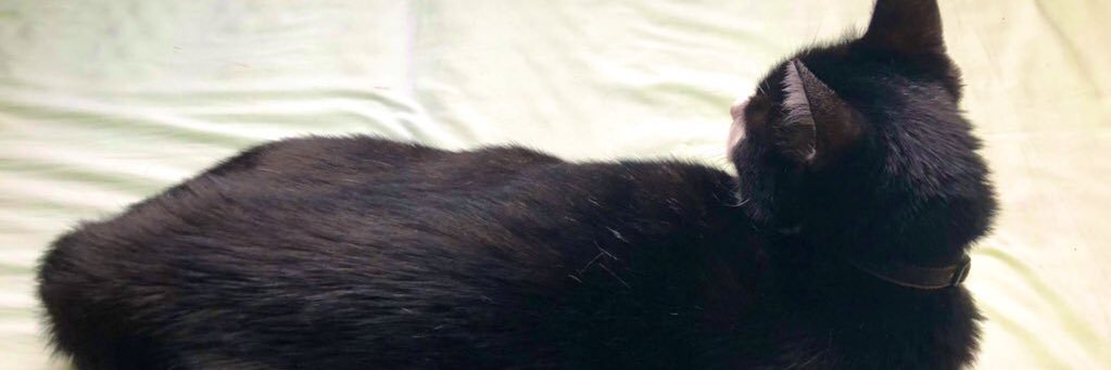 gorira13's profile banner image