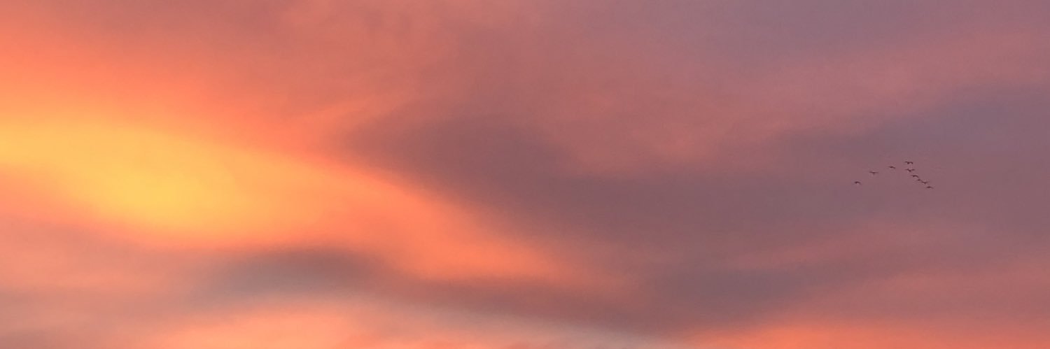 GanderAnne's profile banner image