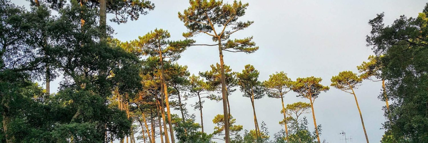 LouiseLnt's profile banner image