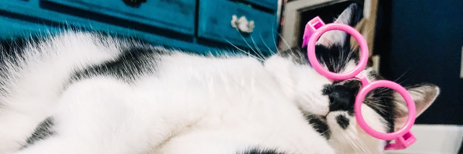 MaddiBirm's profile banner image