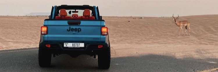 sayfu_'s profile banner image