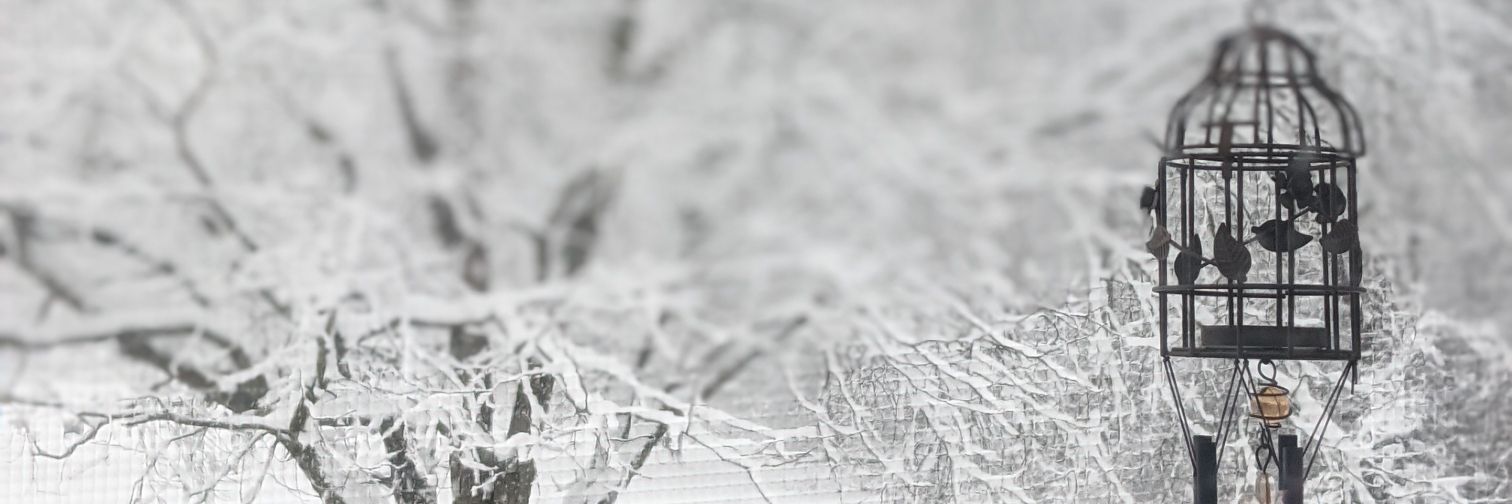 WilsonAnish's profile banner image