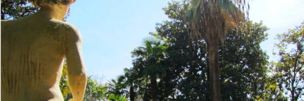 secacciatore Profile Banner