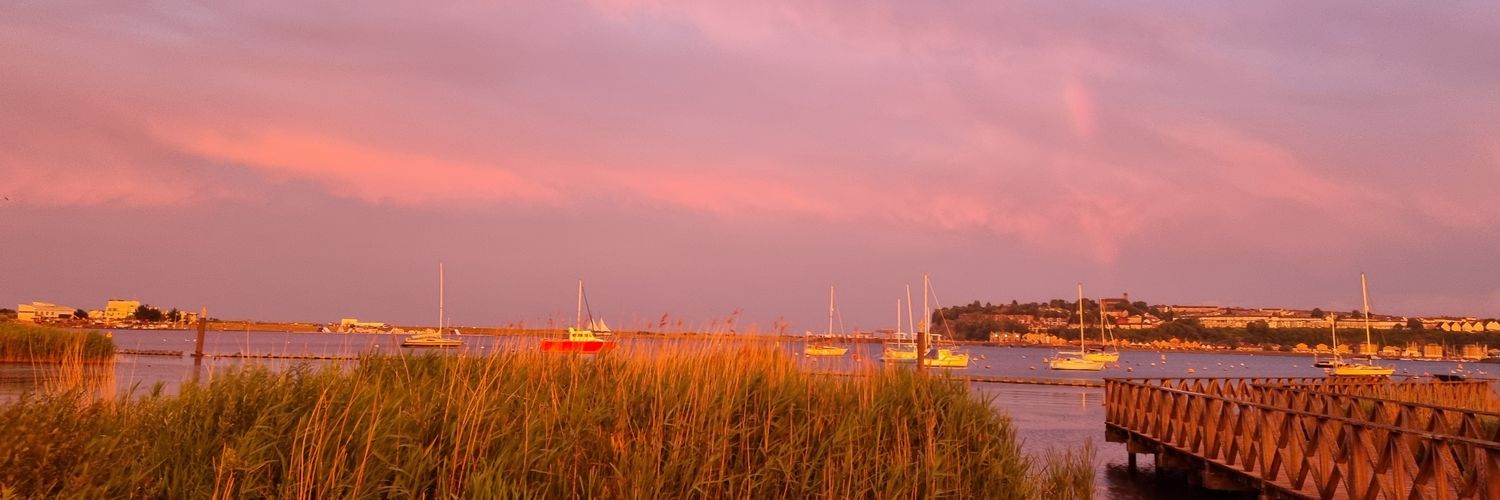 ioan_wd's profile banner image