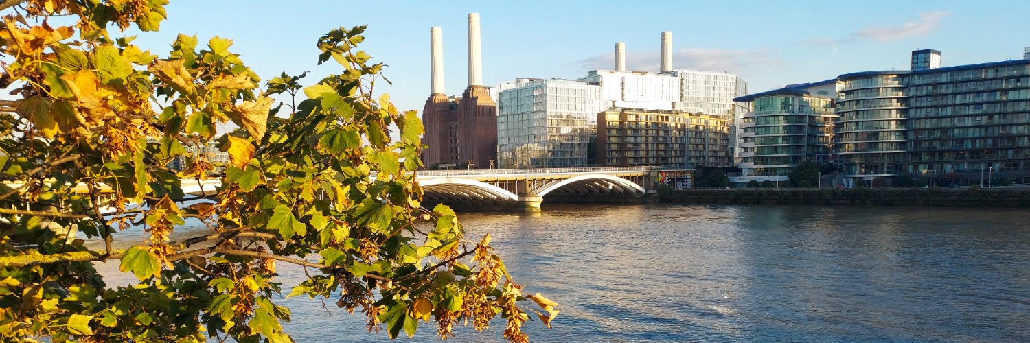 Chelsea Bridge Wharf banner