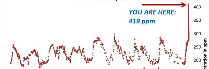 Orla Kelly 🌍 banner