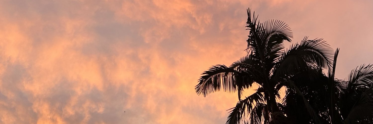 borcattp's profile banner image