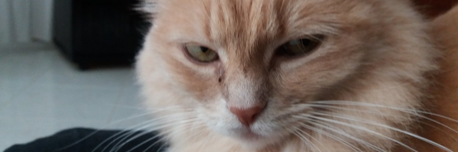 giemme2manduria's profile banner image