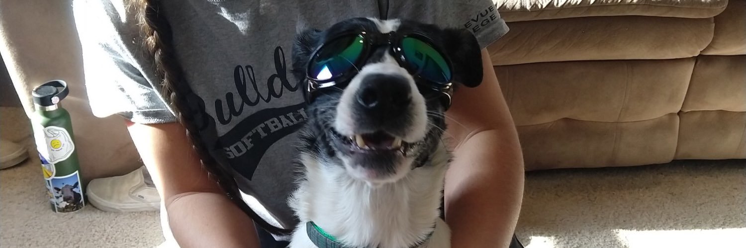 ryleyeldridge's profile banner image
