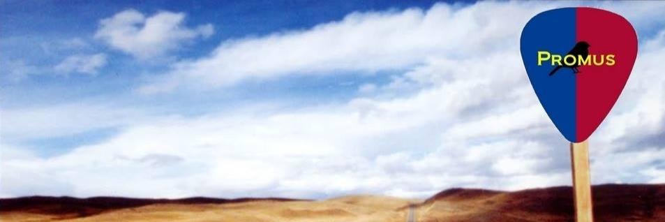 Promus Webdesign banner