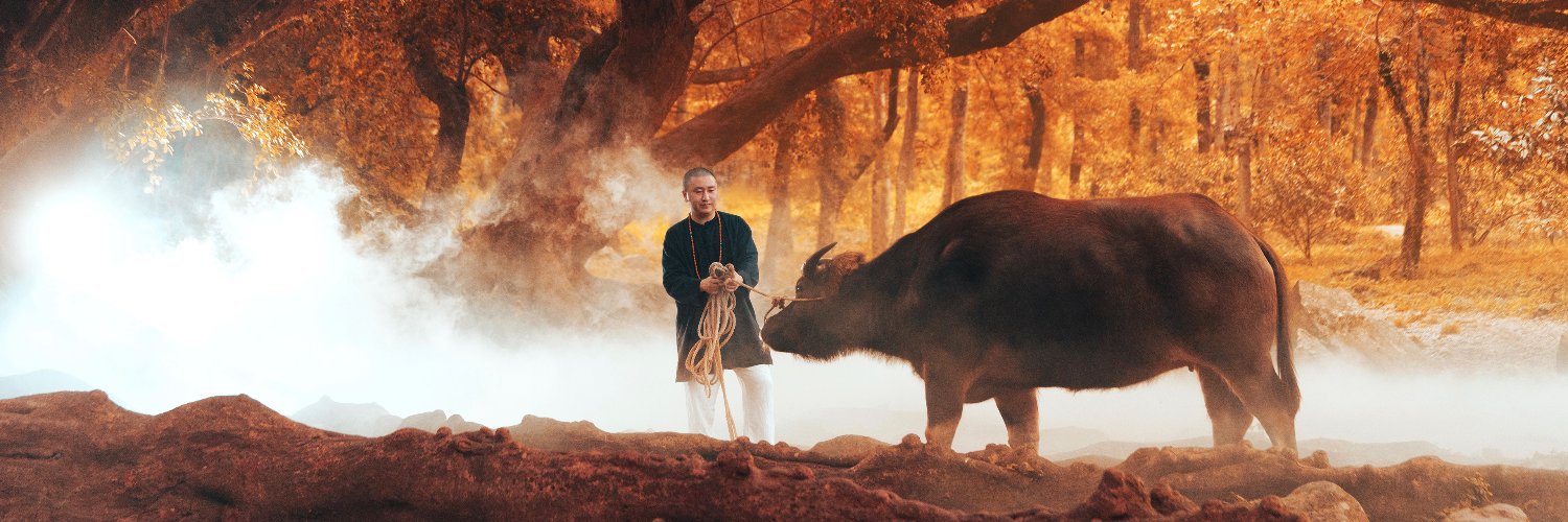 ─=≡Σ((( つ•̀ω•́)つ banner