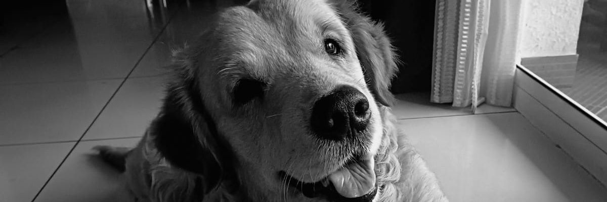 Samrat Banerjee banner