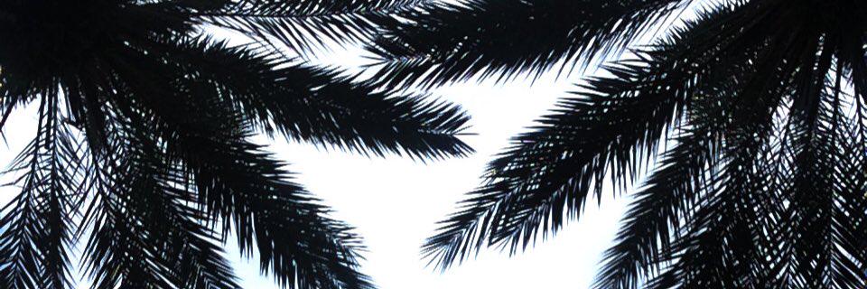 maddy_petite's profile banner image