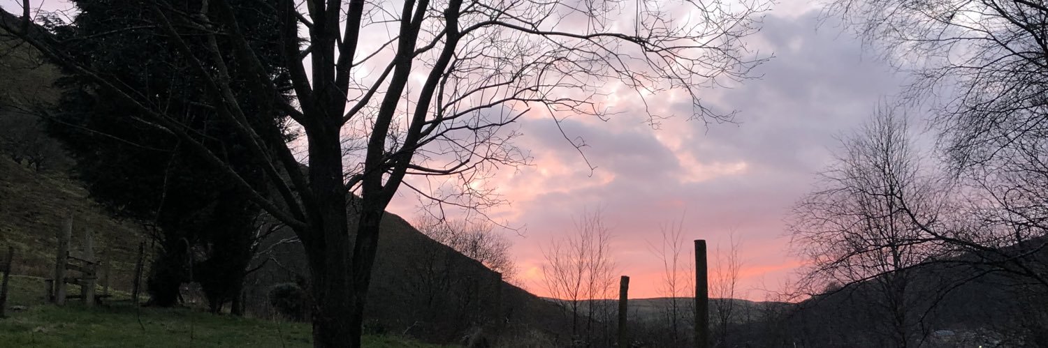 fae_melissa's profile banner image