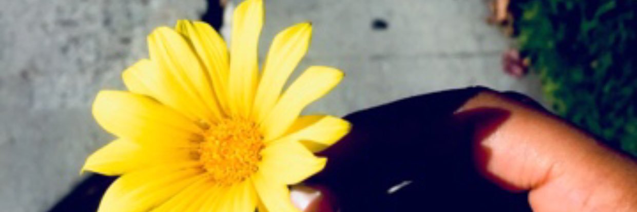 ericabadu_'s profile banner image