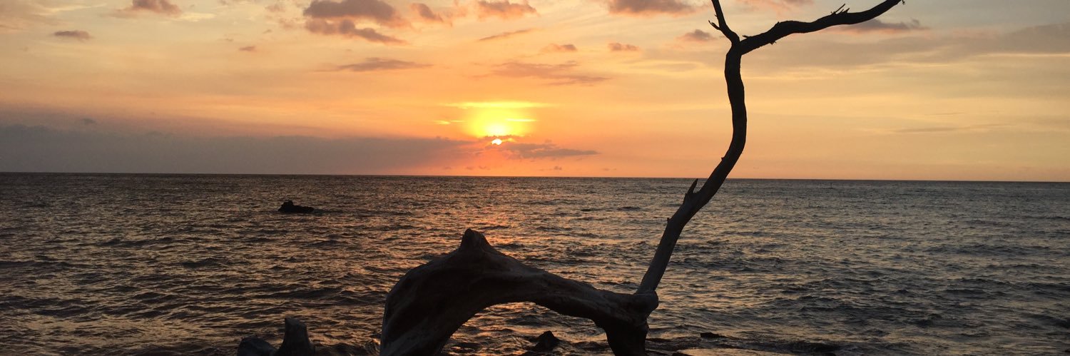 elissa sloan perry banner