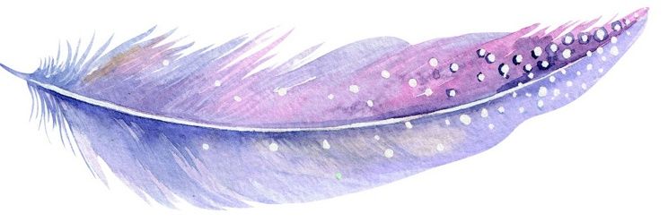 misty_brooks's profile banner image