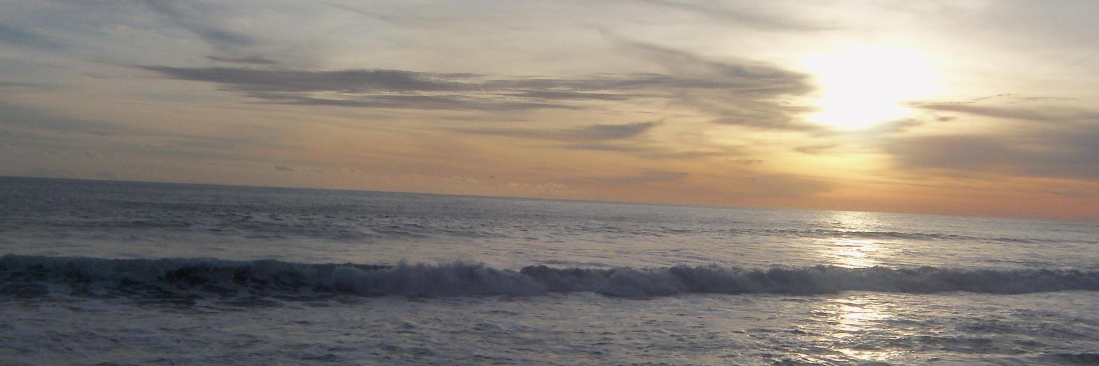 amywidi's profile banner image