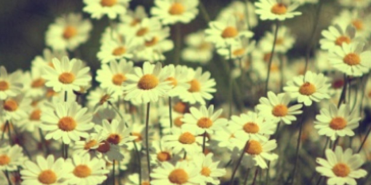 PriyalWardle's profile banner image