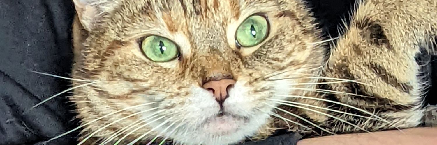 mcglubber's profile banner image