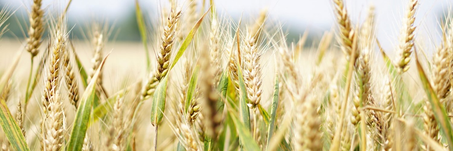 LEADERcatcentral banner