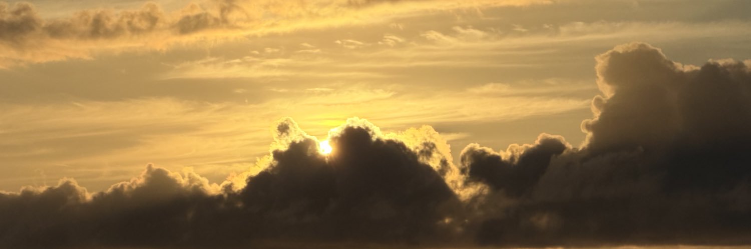 britoadrian_'s profile banner image