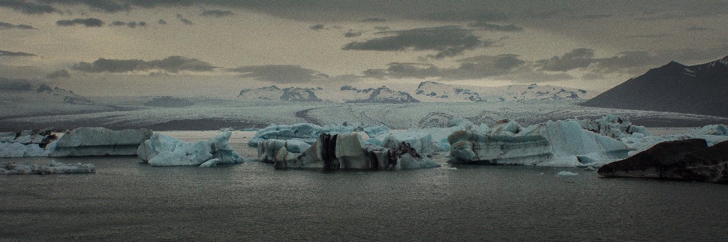 Camilla Spinelli banner