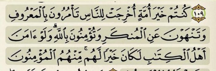 محمد الشامي banner