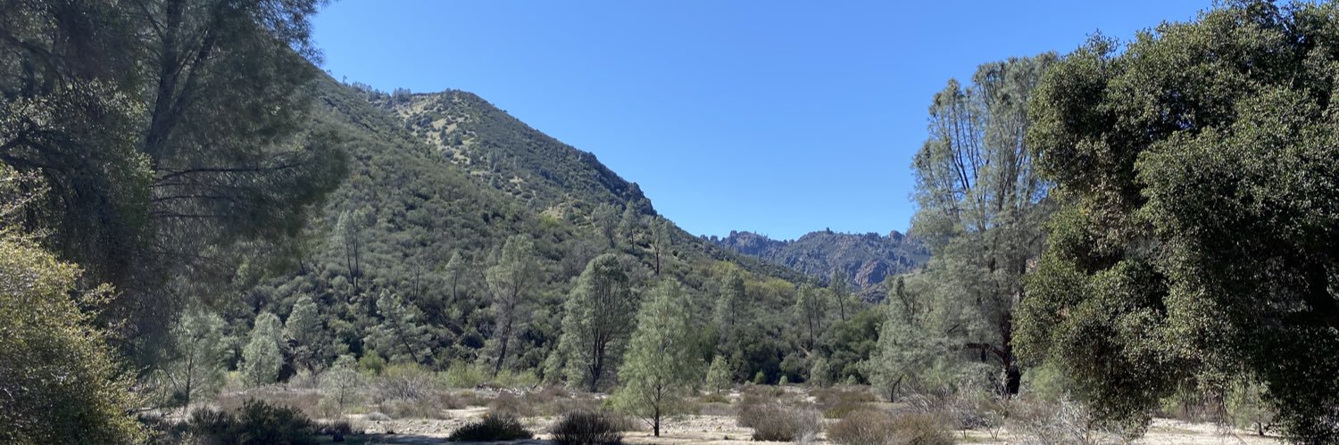 Charlene A. Goto banner