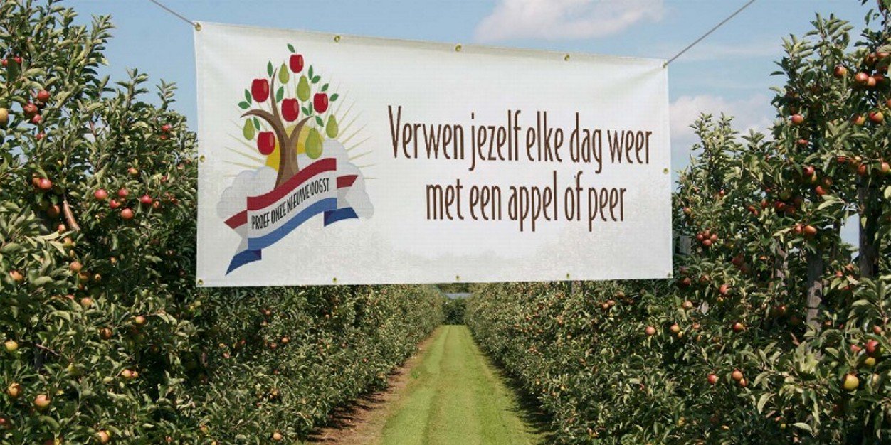 vRijnFruit's profile banner image