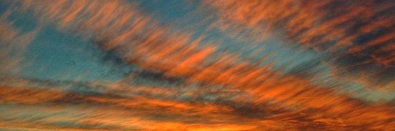 Albert Bladas banner
