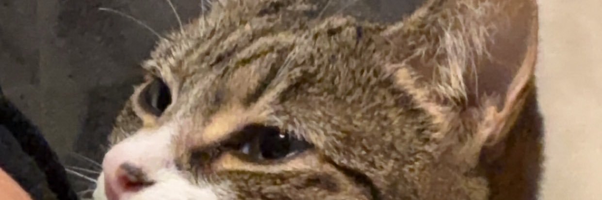 A_Boardman's profile banner image