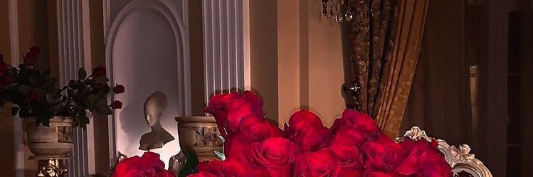 ohthatswhitney's profile banner image