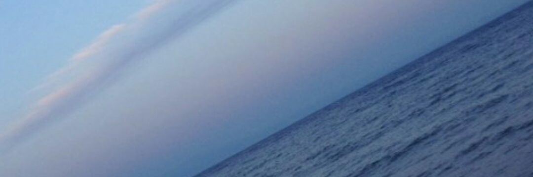 maymunlar_alemi's profile banner image
