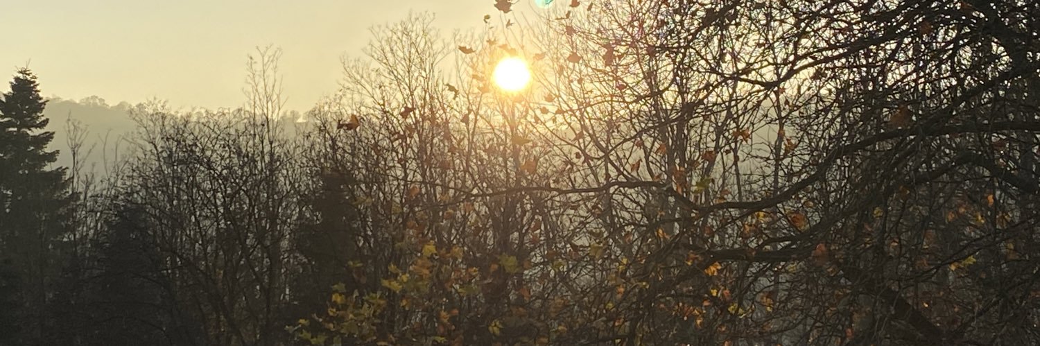 Francoise Verschaeve banner