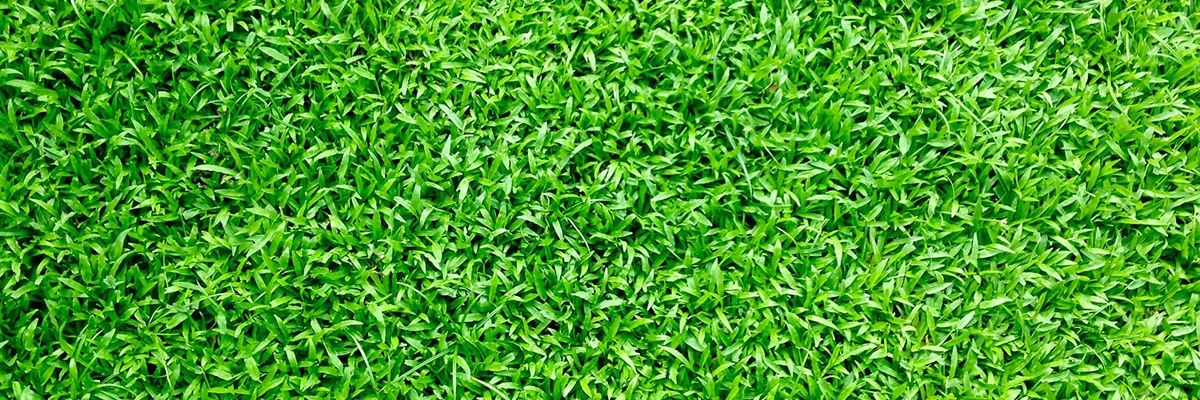 Wassaman_'s profile banner image