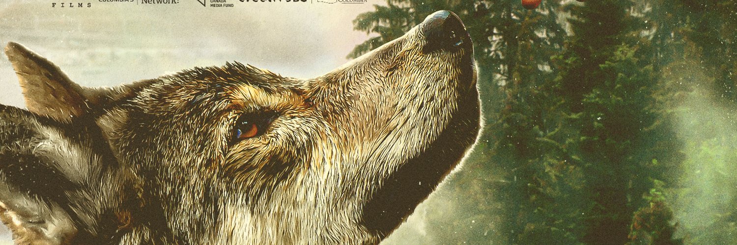 isabellegroc's profile banner image
