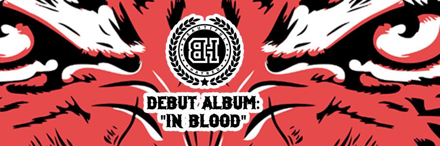 btifulhatred's profile banner image