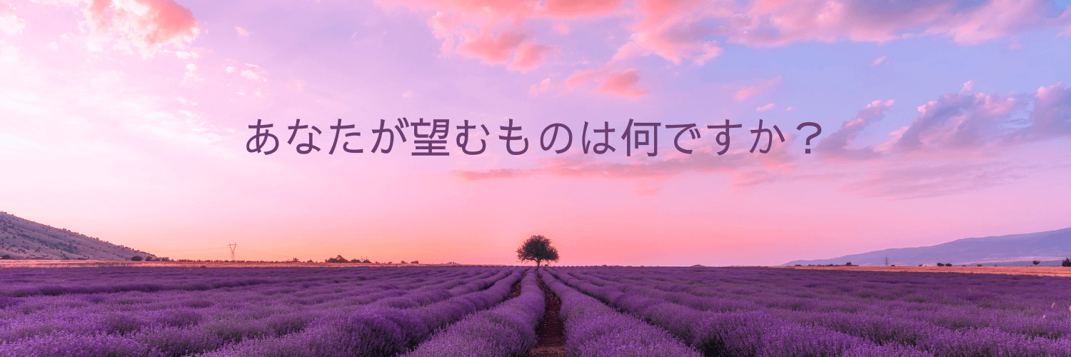 syokakko's profile banner image