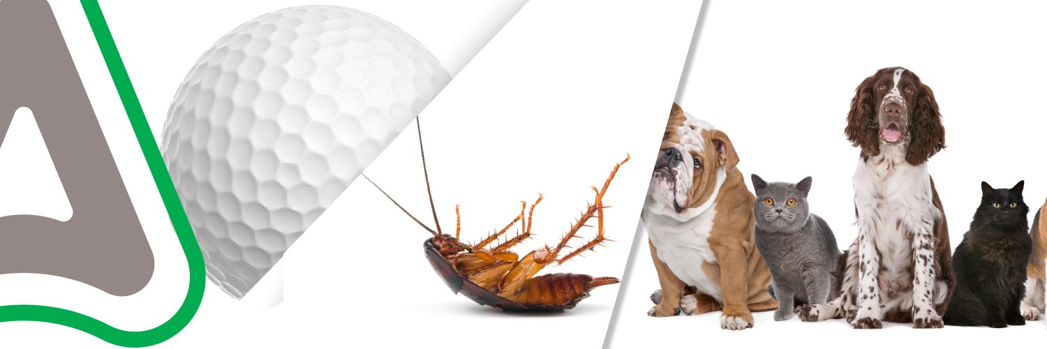 Control Solutions banner