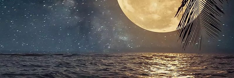 aguuscomolli's profile banner image