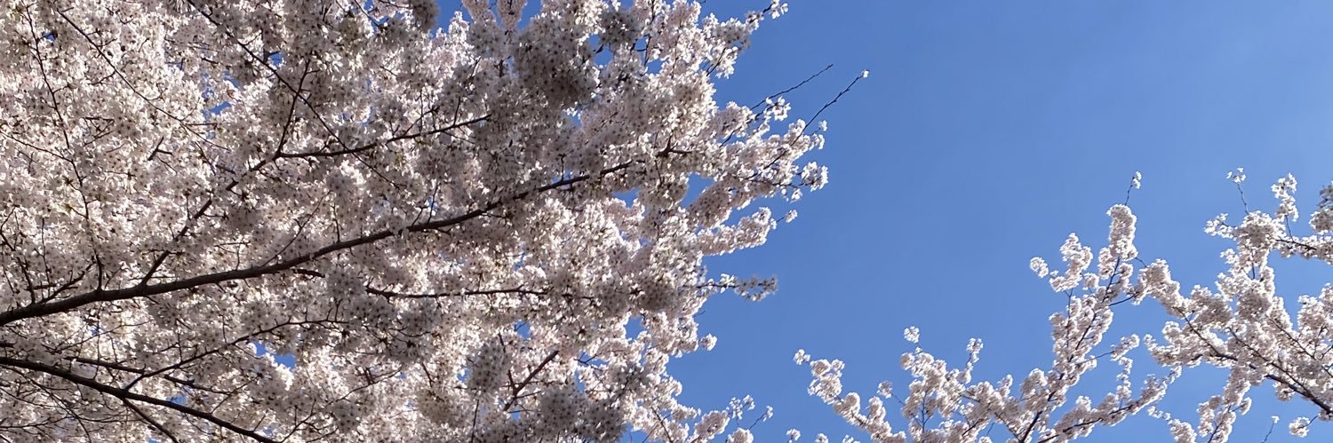 holyheejin's profile banner image